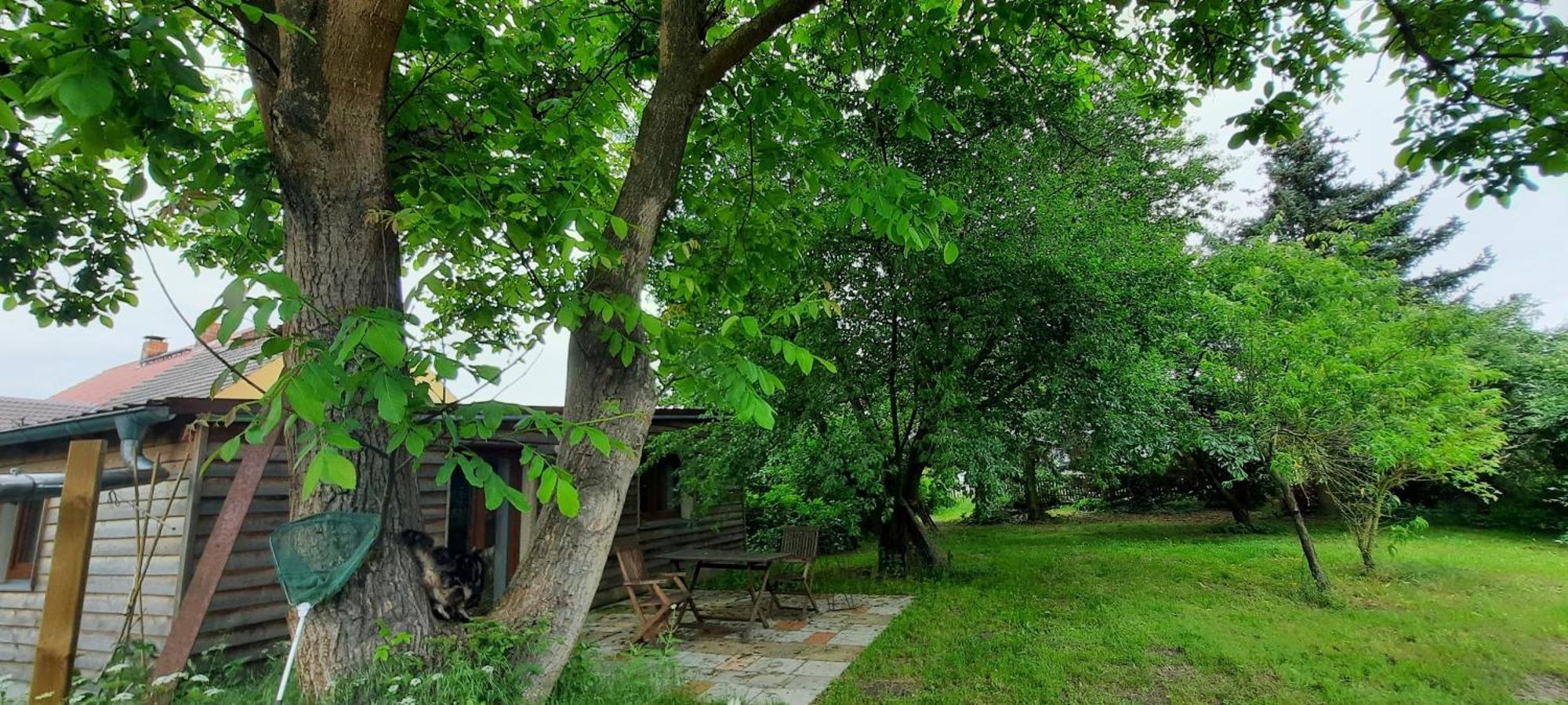 Ferienhaus Luna Drahnsdorf المظهر الخارجي الصورة