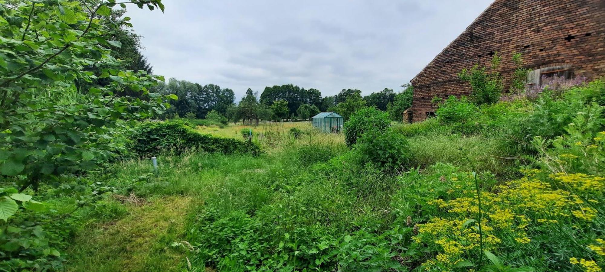 Ferienhaus Luna Drahnsdorf المظهر الخارجي الصورة