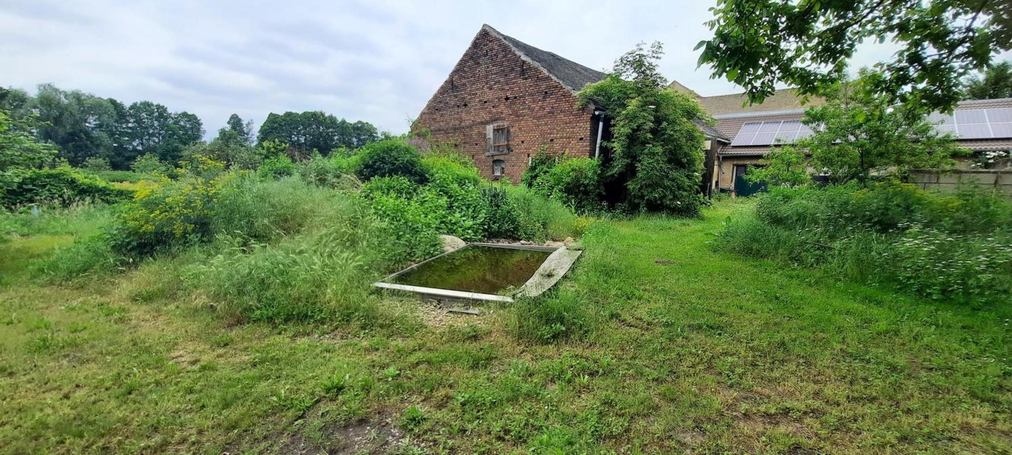 Ferienhaus Luna Drahnsdorf المظهر الخارجي الصورة