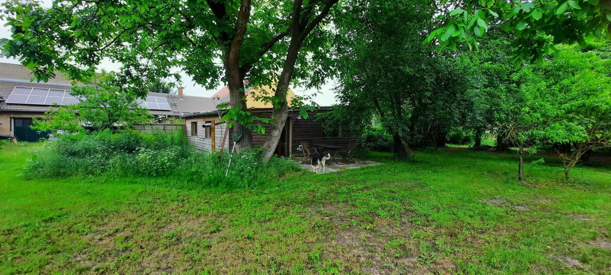 Ferienhaus Luna Drahnsdorf المظهر الخارجي الصورة